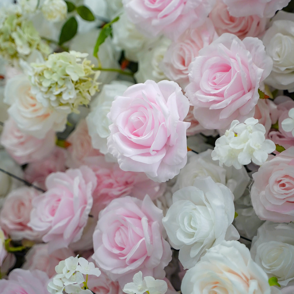 Leona：5D Fabric Artificial rolling up curtain flower wall Rose Morning