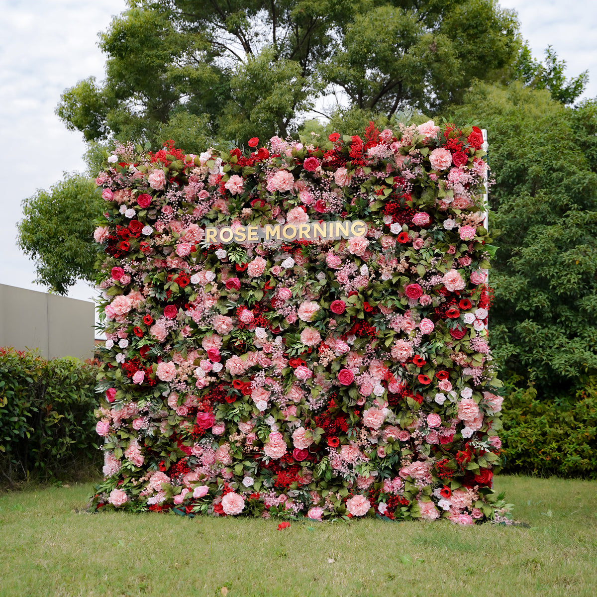 Freya 5D Fabric Artificial rolling up curtain flower wall Rose Morning