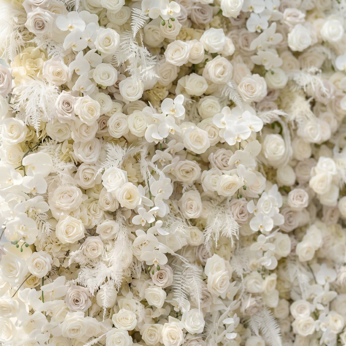 Junbelle:Elegant 5D White Floral Wall with Pampas Grass Accents Roll-Up Backdrop for Whimsical Bridal Showers Free Shipping