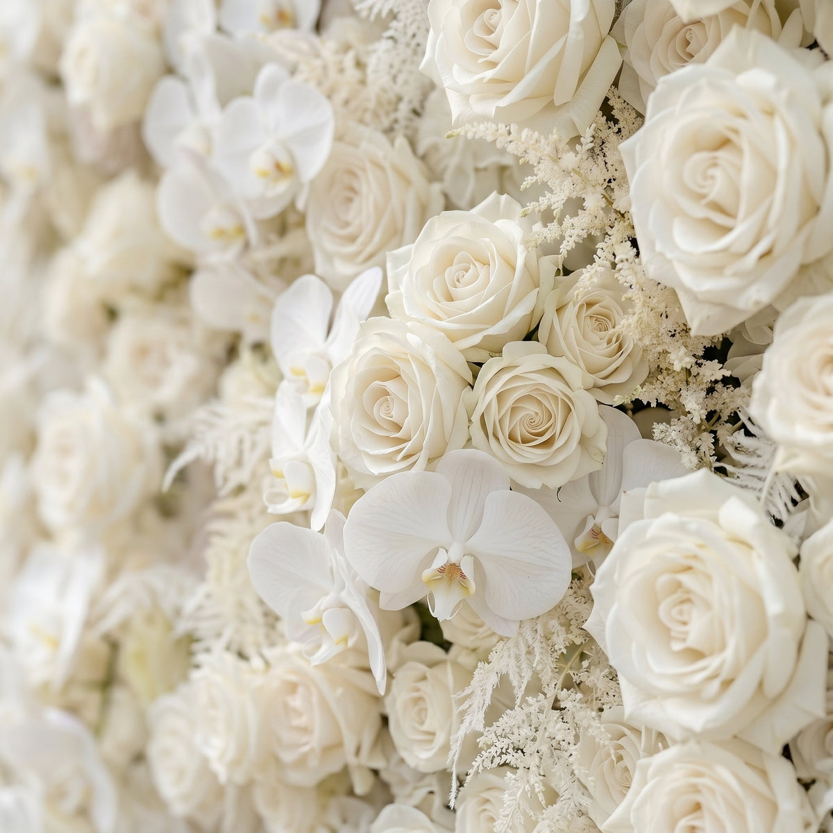 Junbelle:Elegant 5D White Floral Wall with Pampas Grass Accents Roll-Up Backdrop for Whimsical Bridal Showers Free Shipping