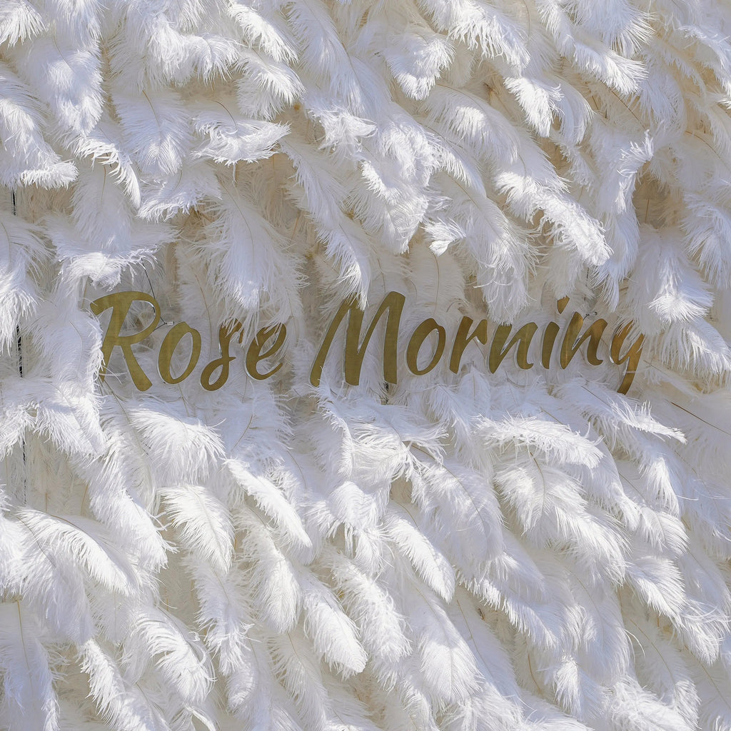 White Feather：5D Fabric Artificial rolling up curtain flower wall Free Shipping