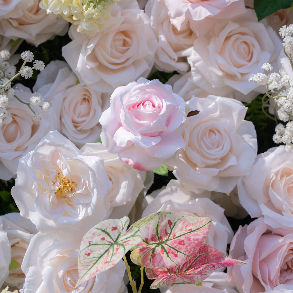 Ebony：5D Fabric Artificial rolling up curtain flower wall Free Shipping