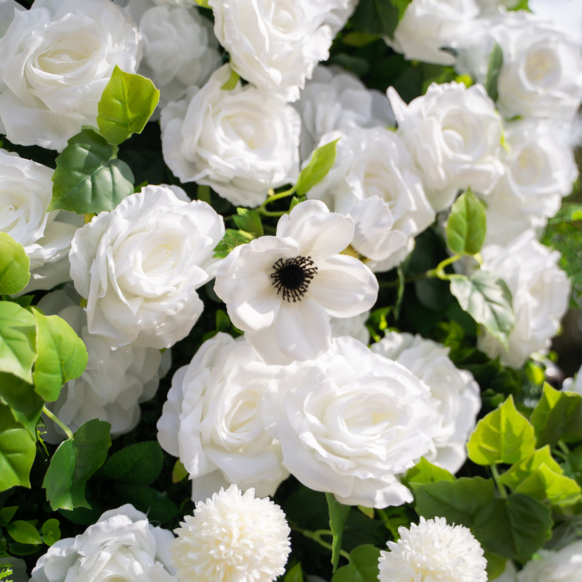 Liora: 3D White Rose & Greenery Roll-Up Curtain Artificial Floral Wall for Garden Wedding & Party Decor Free Shipping