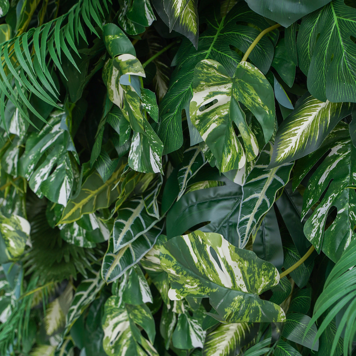 Meet: 5D 2023 Fabric Artificial Green Wall Rolling Up Curtain Green Wall R800 - 8ft*8ft Rose Morning